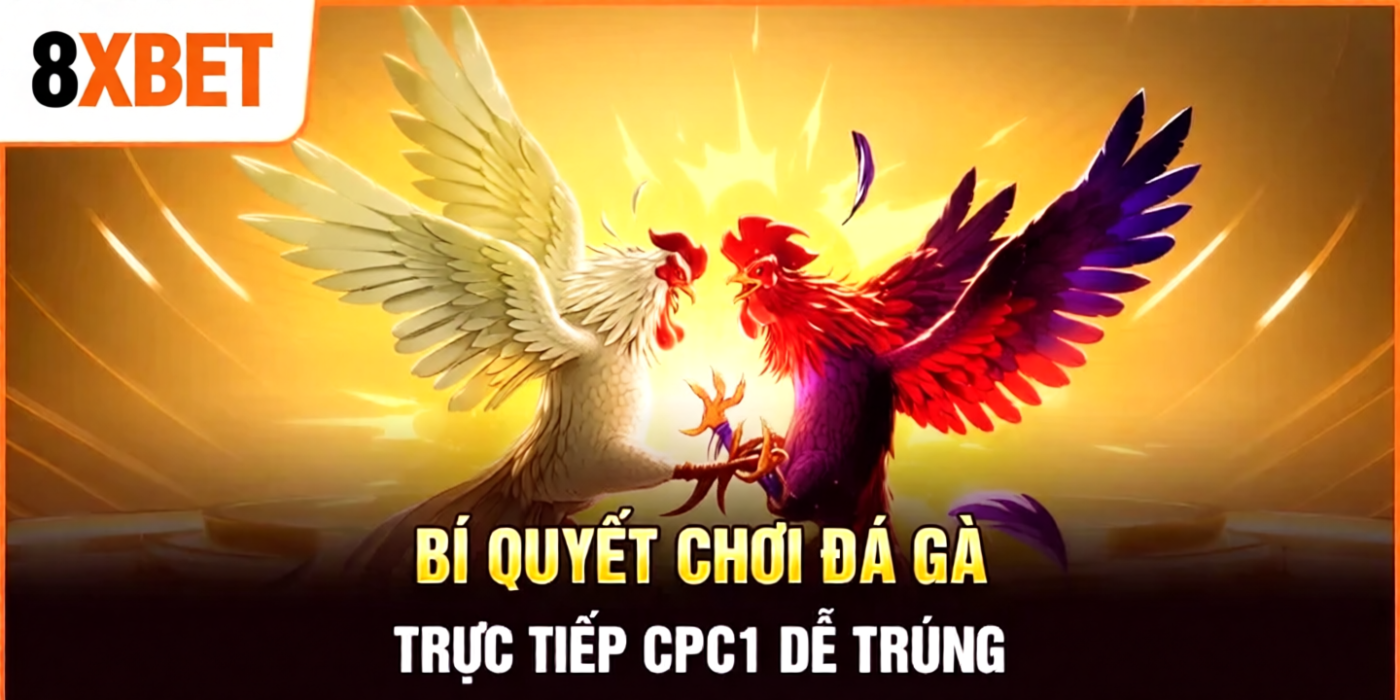 Bí quyết chơi đá gà trực tiếp cpc1 dễ trúng