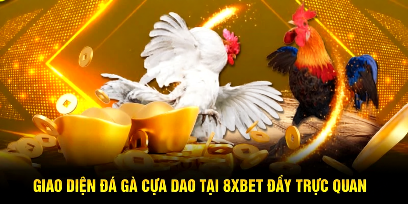 Giao diện đá gà cựa dao tại 8xbet đầy trực quan