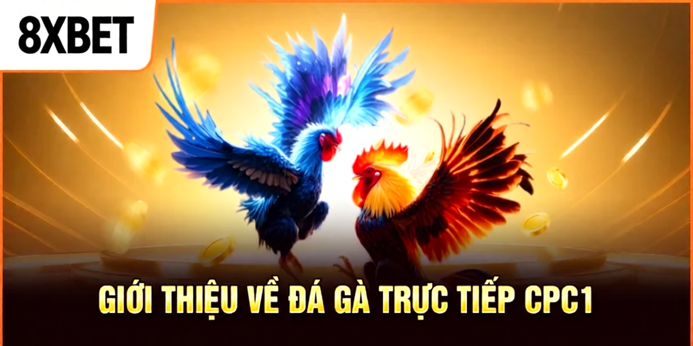 Giới thiệu về đá gà trực tiếp cpc1
